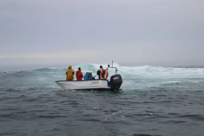 pesca artesanala de bajura pesca artesanal de bajura de las Rías de Galicia