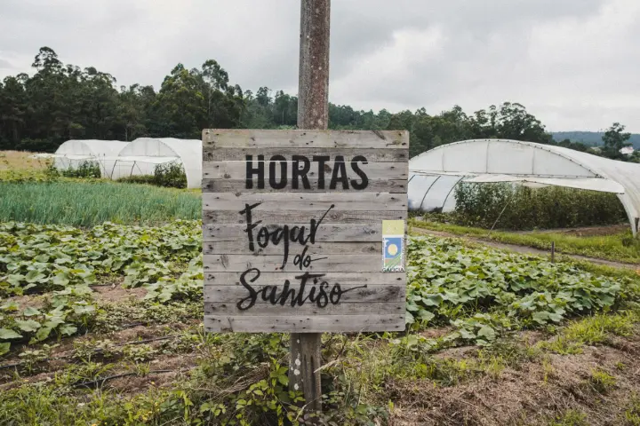 Nuestros huertos, situados a tan solo 300 metros del restaurante de Teo, son el corazón verde del Fogar.
